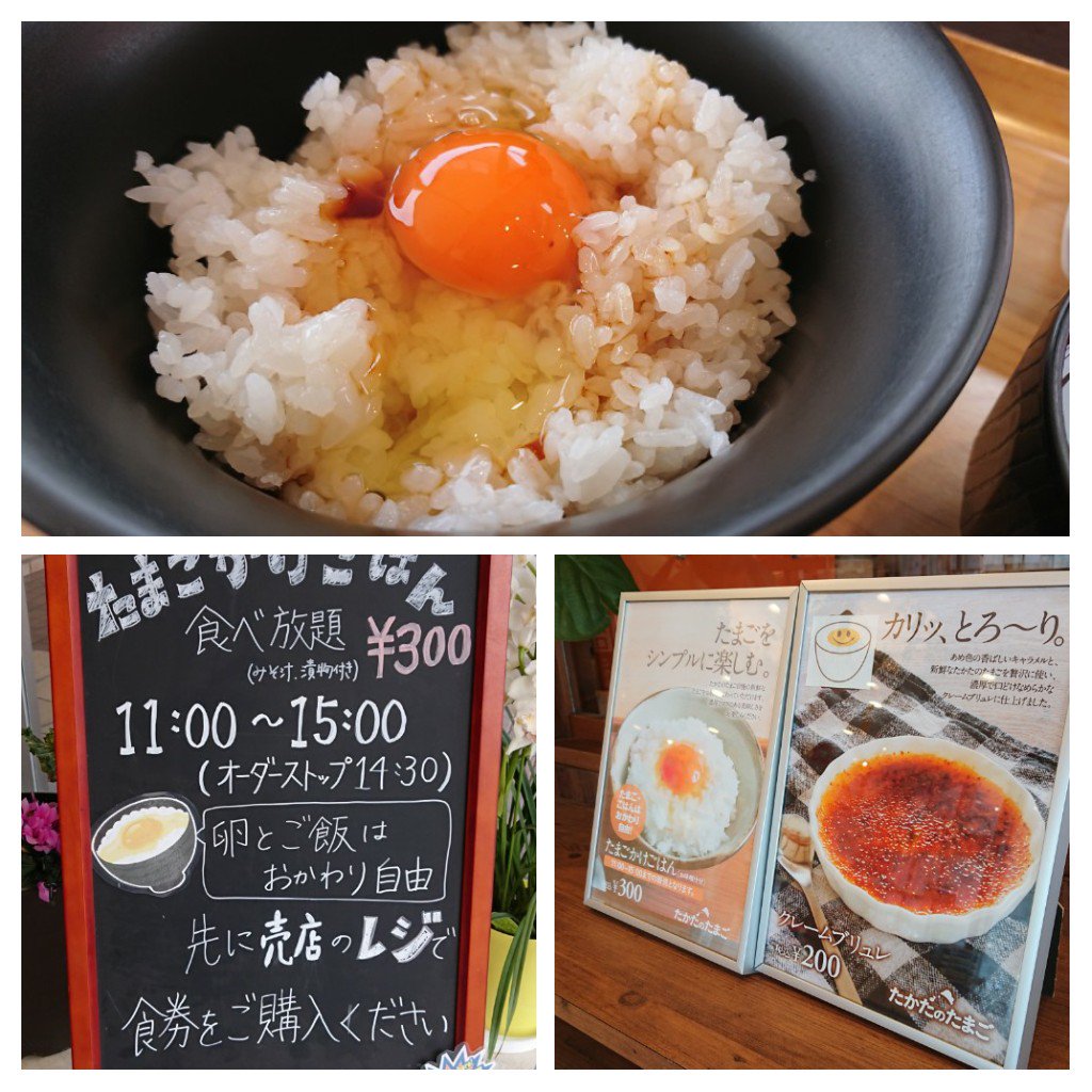 たかたのたまご プリン