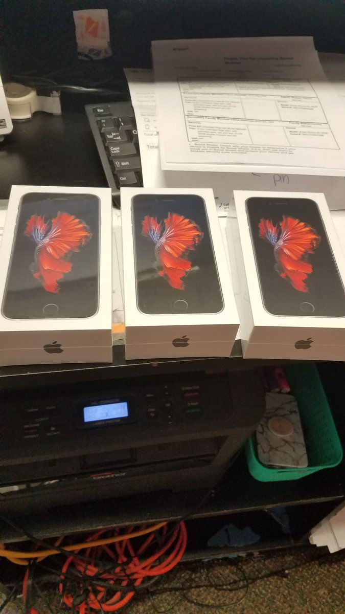 Tara DeGroote tweet media