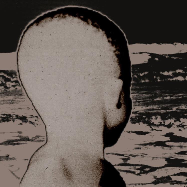 Fresh Selects tweet media