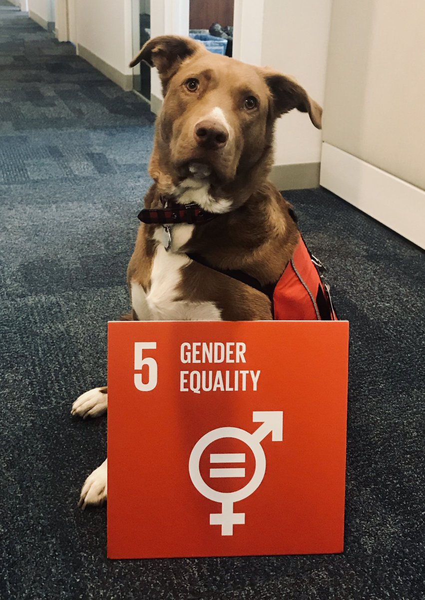 UN_Women's tweet photo. On #NationalPuppyDay, join the cutest feminist in supporting women’s rights &amp; gender equality! https://t.co/KxDFCGgOSi