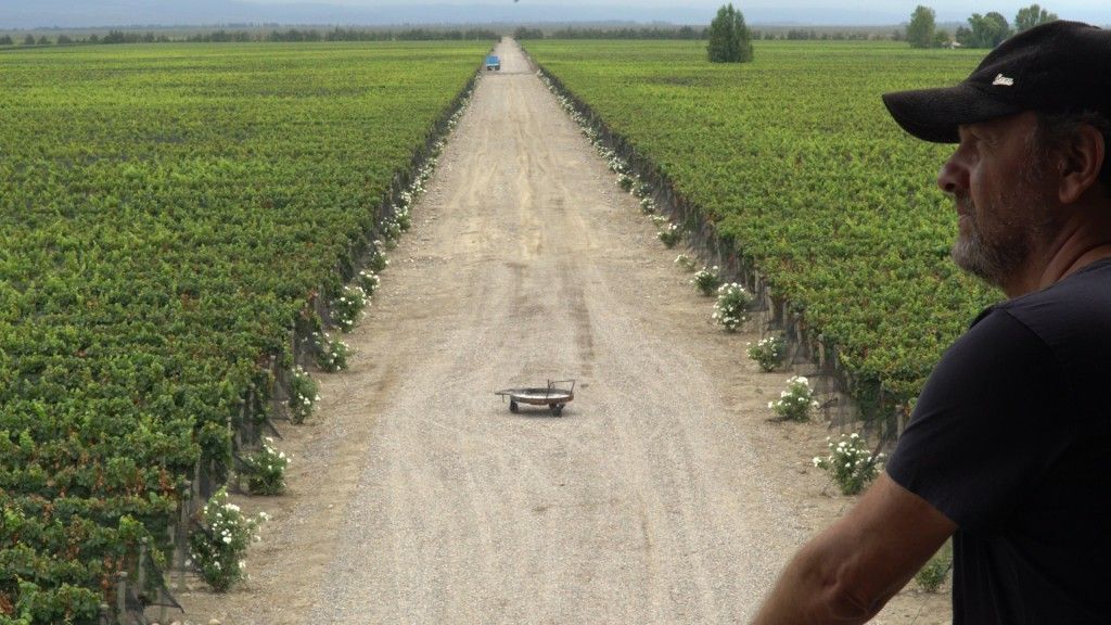 nicolasorsini's tweet photo. [Novedades] @alekorol1 estrena #ElKorolDelVino por la TV Pública. https://t.co/Fz1EkxRwYy https://t.co/U6MUgZlXML