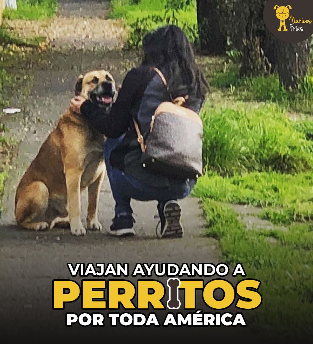 Santiago y María decidieron realizar un viaje con un sentido social. La aventura, el amor y sus ganas de ayudar los llevaron a recorrer gran parte de Estados Unidos y Sudamérica ayudando a los 'cuatro patas'. Llegaron a Ecuador » bit.ly/amricaPrrtos