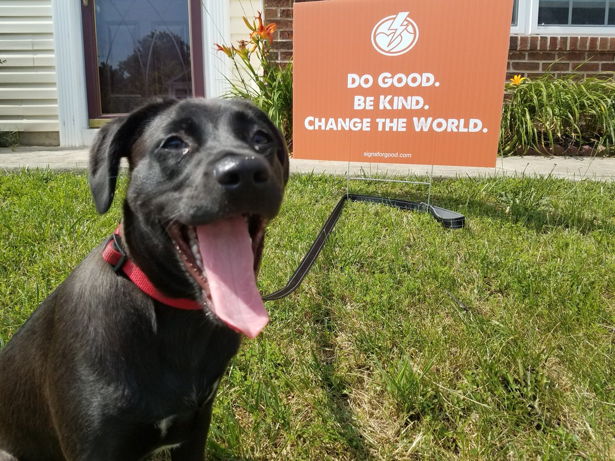 ambermelsmith's tweet photo. It's #NationalPuppyDay!
#SignsForGood @activategood https://t.co/QVRcfmkMXN
