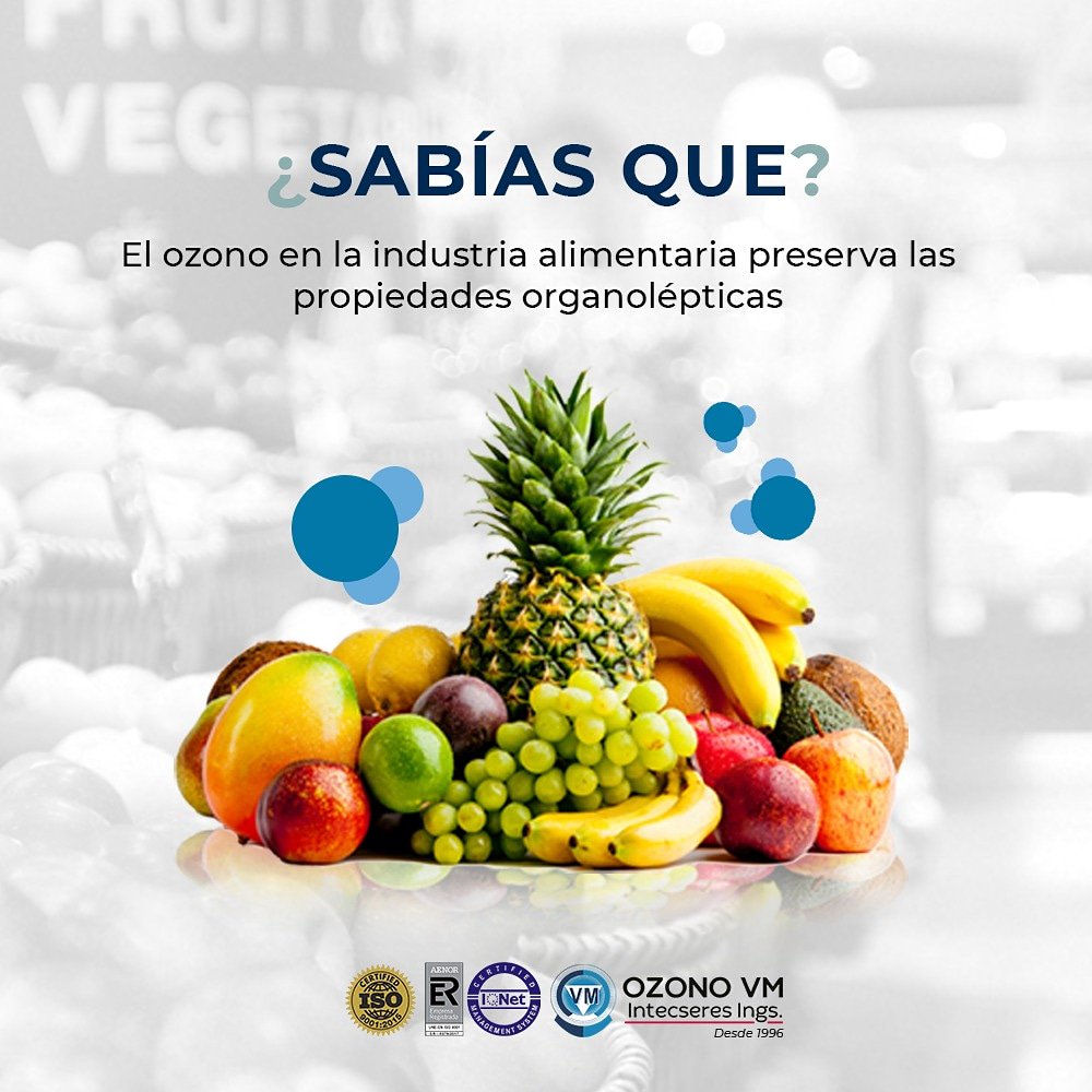 OzonoVm's tweet photo. #SABIASQUE El ozono en la industria alimentaria preserva las propiedades organolépticas (color, olor y sabor) de los frutos y verduras.
#Industria #Frutas #Verduras #Ozono #OzonoVM #OzonoMedic #Lima #Peru #Intecseres https://t.co/mhD1EUxlE4