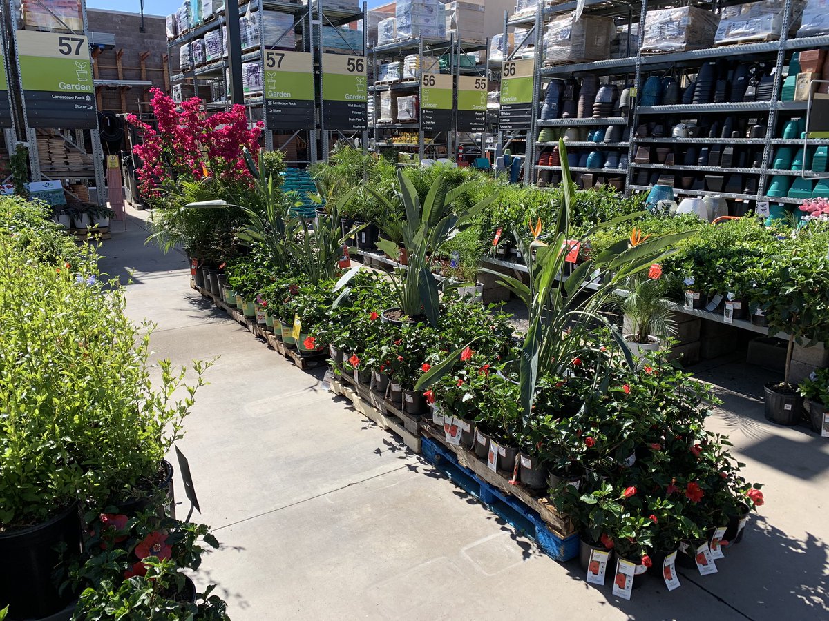 Clinton Lester tweet media