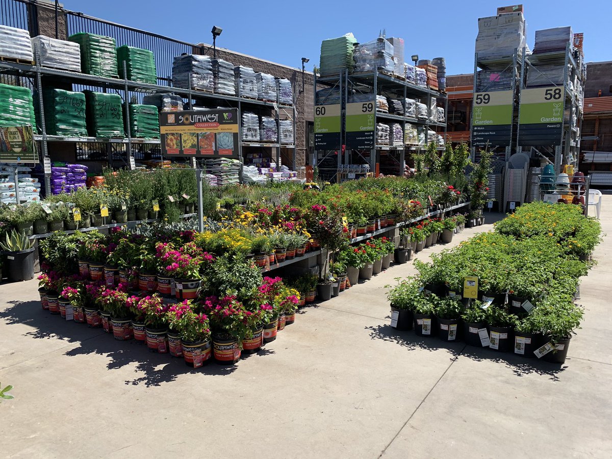 Clinton Lester tweet media