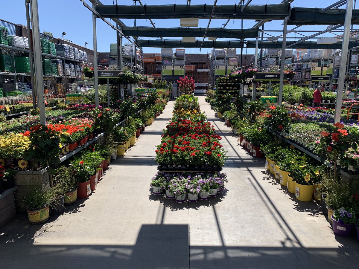 Clinton Lester tweet media