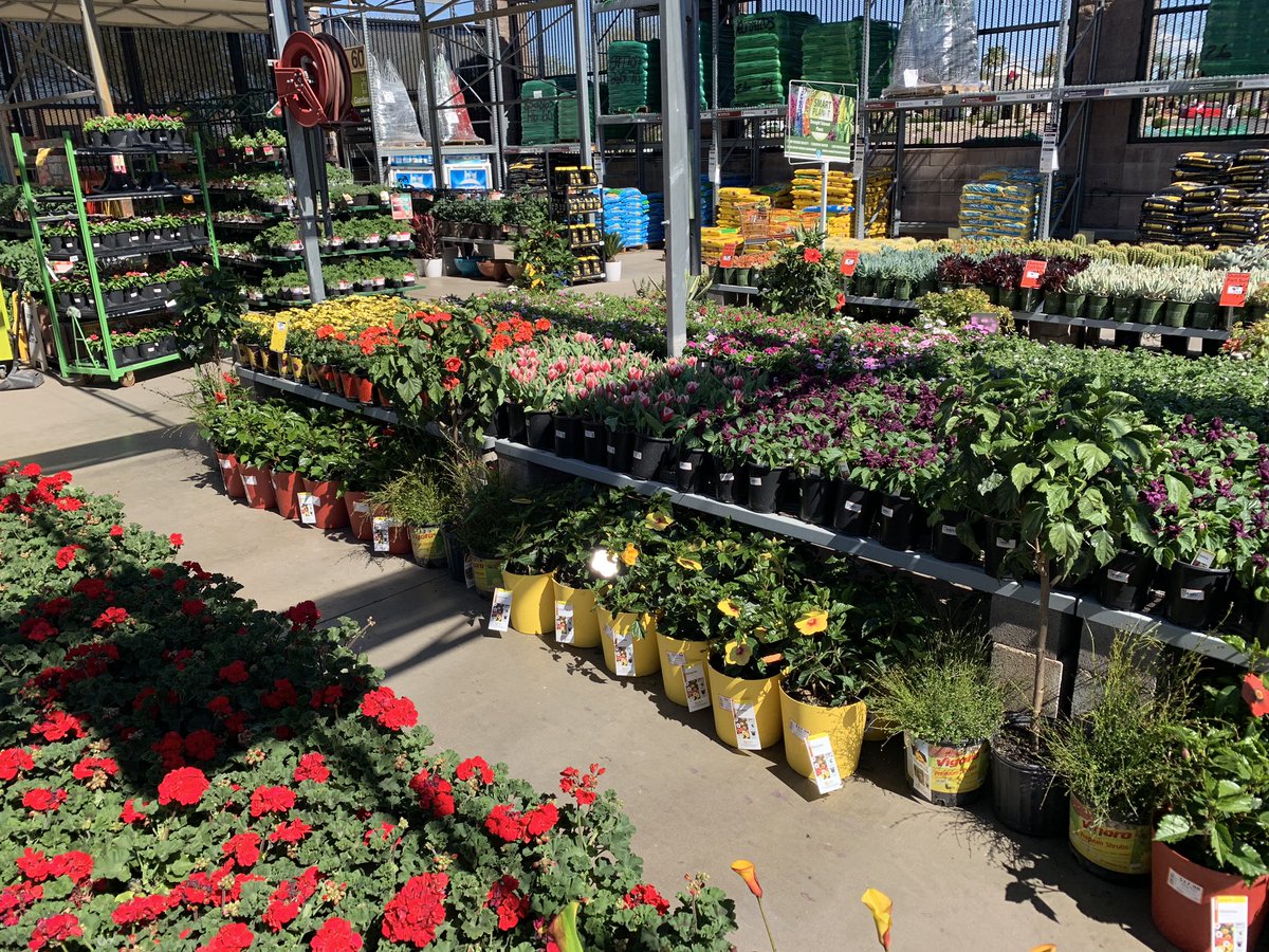 Clinton Lester tweet media