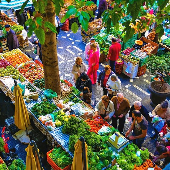 FAOMexico's tweet image. #AgriculturaFamiliar también contribuye al desarrollo de mercados locales, cooperación comunitaria, resiliencia y productos domésticos globales, así como a preservar y mejorar tradiciones locales, patrimonio y sistemas alimentarios

👩🏻🌾👨🏻🌾🥦🍅🍇🔝
📗bit.ly/2OkAeUh