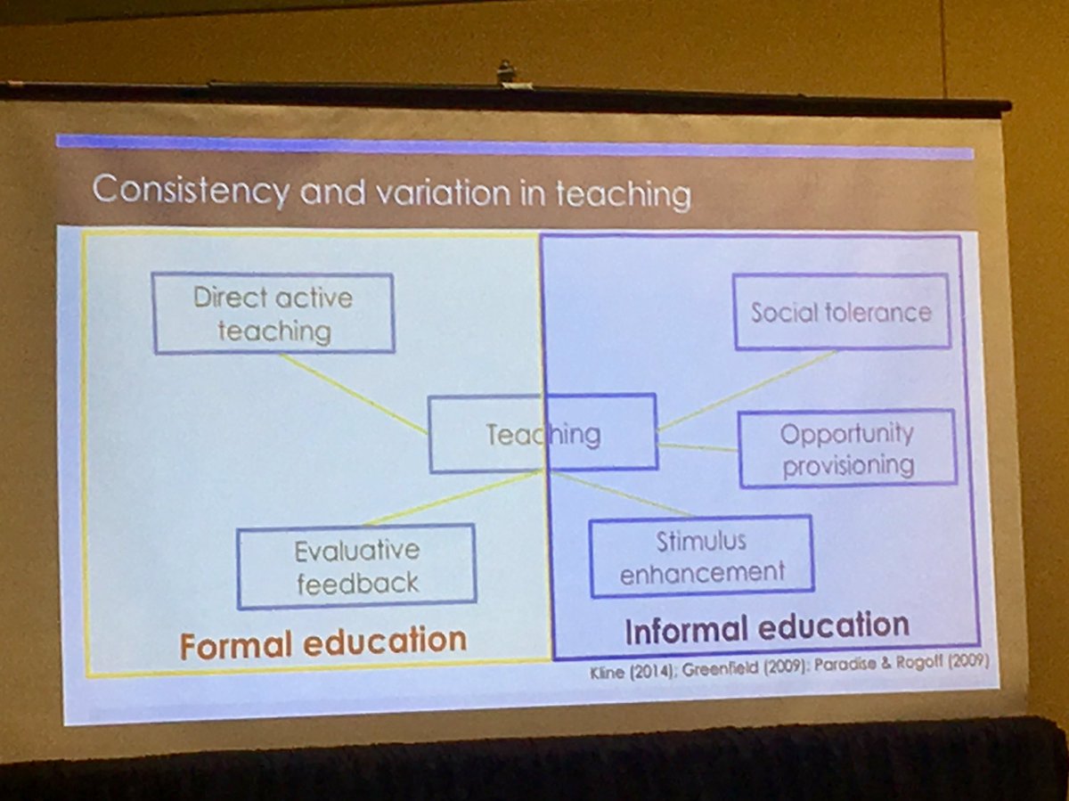 NicoleJWen's tweet photo. U.S. caregivers encourage children to complete a task independently whereas Ni-Vanuatu children and their caregivers work collaboratively. @jencleggpetz @CristineLegare @EVOLearnLab #evolearnlab #SRCD19 https://t.co/fgDsj8TU24