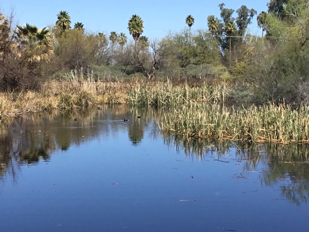 TucsonWater's tweet photo. #WorldWaterDay https://t.co/J3kOhRM0Du