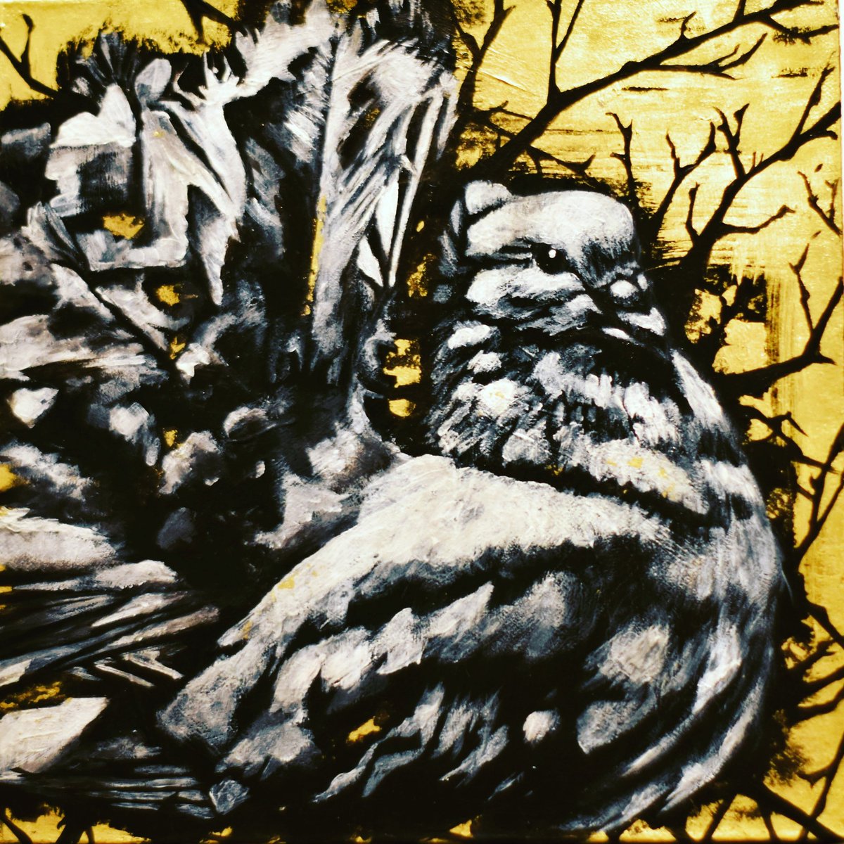 VirginiaCMoat's tweet photo. Finally! #femaleartists #womenartists #gold #goldart #buyart #artforsale #etsy #manchester #fantaildove #doves #Art https://t.co/tE9FSV1e1V https://t.co/Nja02fkcF4