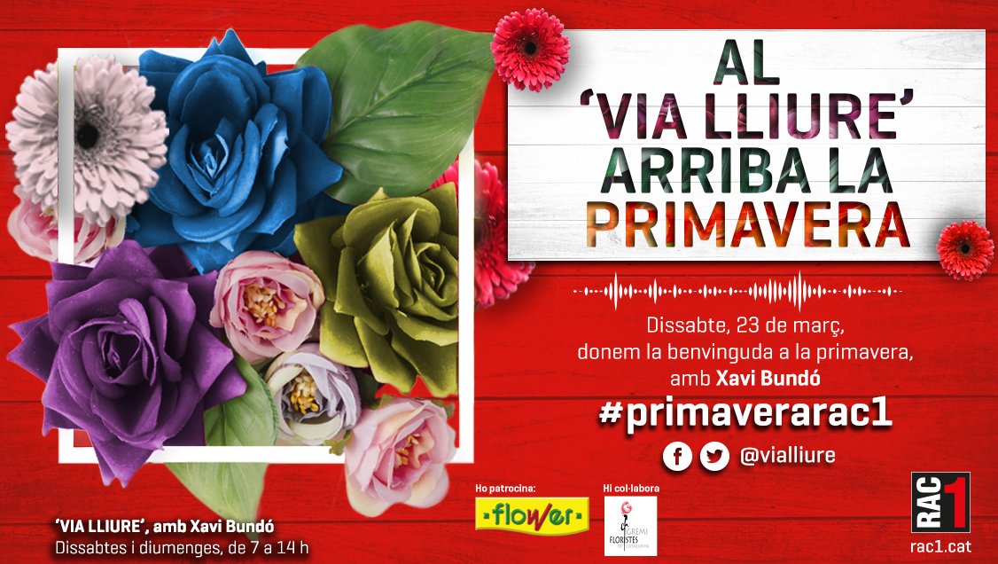 Ja és aquí...la #primaverarac1. Aquest dissabte sabrem quina és la flor/planta més popular de Catalunya, en tindrem l'estudi i a diverses floristeries de Catalunya pels oients més ràpids, i pujarem mooolt amunt! <a href="/GremiFloristesc/">Gremi Floristes</a> @FLOWERresponde