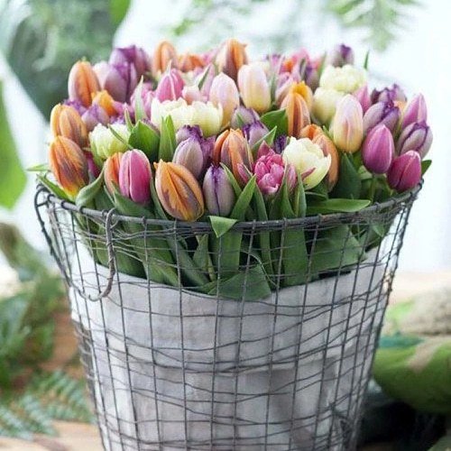 ginestarros's tweet photo. @Ruby2211250220 @CNationalists @darre5 @LeillaLuna @VicN_84 @V2_N_St0 @Fujio0606 @karlos_240 @Diane91182 @DabbeyEffect @BrettCateley @_Carol2018 @Luca25__ @GrandeFollwhelp ⭐️Retweet
⭐️Follow all LIKES & RTS
⭐️Follow🔙everyone
⭐️Reply "ifb"
Follow👉 @Ruby2211250220
@CNationalists @darre5
@LeillaLuna @VicN_84 @V2_N_St0 @Fujio0606 @karlos_240 @Diane91182 @DabbeyEffect @BrettCateley @_Carol2018 @Luca25__ @GrandeFollwhelp
#TM_RUBY💋
#weekendfollotrain https://t.co/krsz7MEHY7