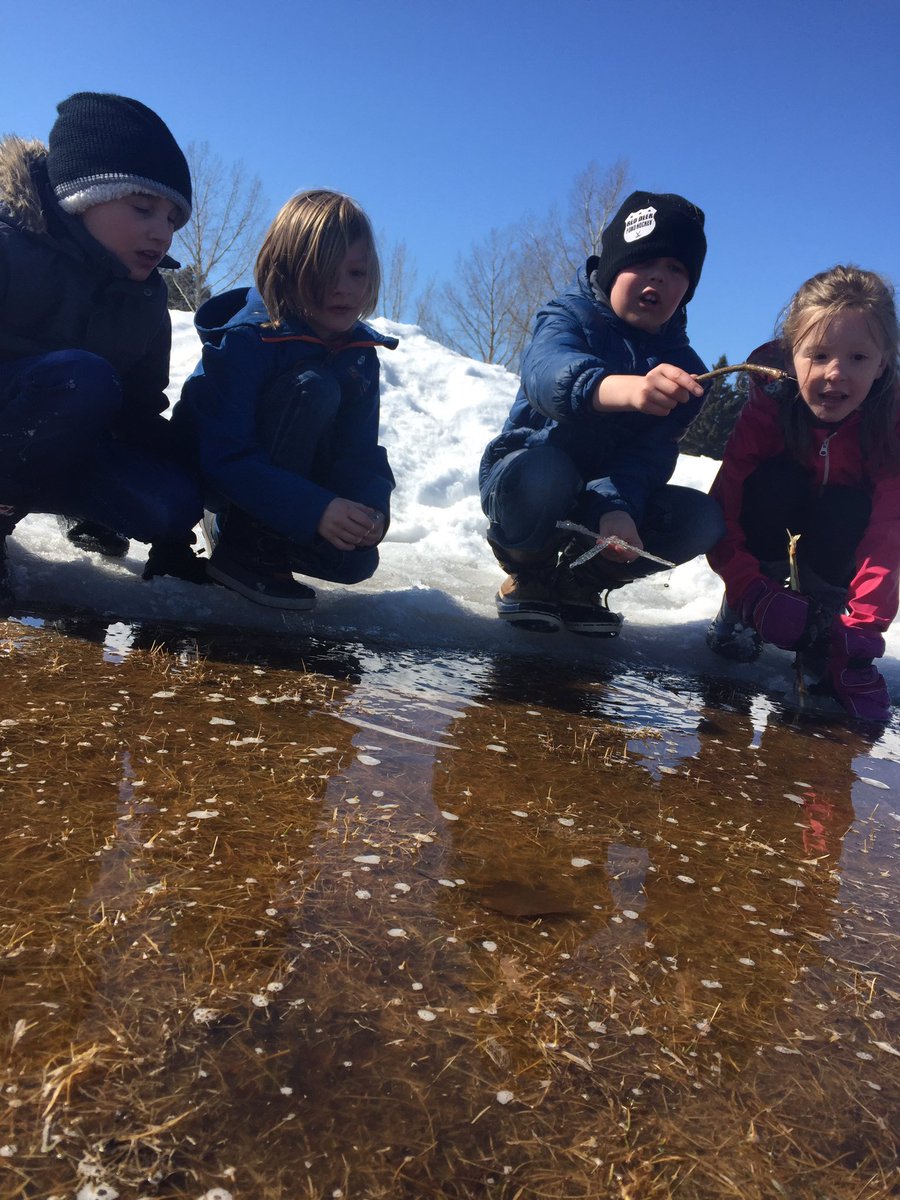 setonschoolRD's tweet photo. Itβs a beautiful day get outside and play #discover #play #sesrd https://t.co/xOCy7eLS54