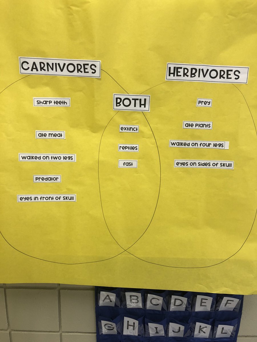 heathergrice33's tweet photo. We had so much fun learning about dinosaurs this week! We ended our study with a dinosaur dig for fossils!They were SO eXciTeD to get to be paleontologists &amp; find their own fossils!👍🏼🦕🦖 @EEECEnterprise @MonicaMBradshaw https://t.co/jBGRwTfmDr