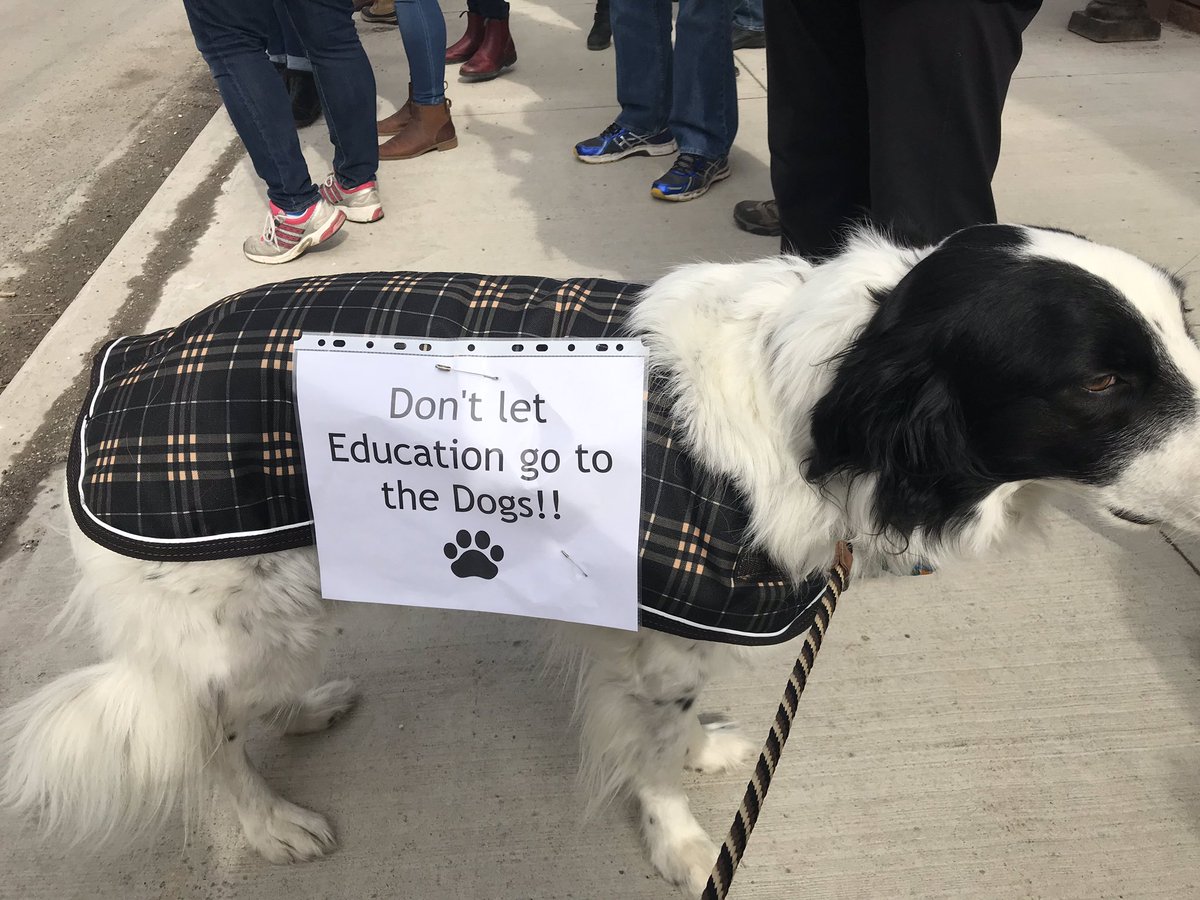 D27Instructors's tweet photo. Cuts to education protest in Napanee. This dog says it all. #osstf #d27instructors #d27osstf @darylkramp #onpoli https://t.co/r4UrI4nOCR