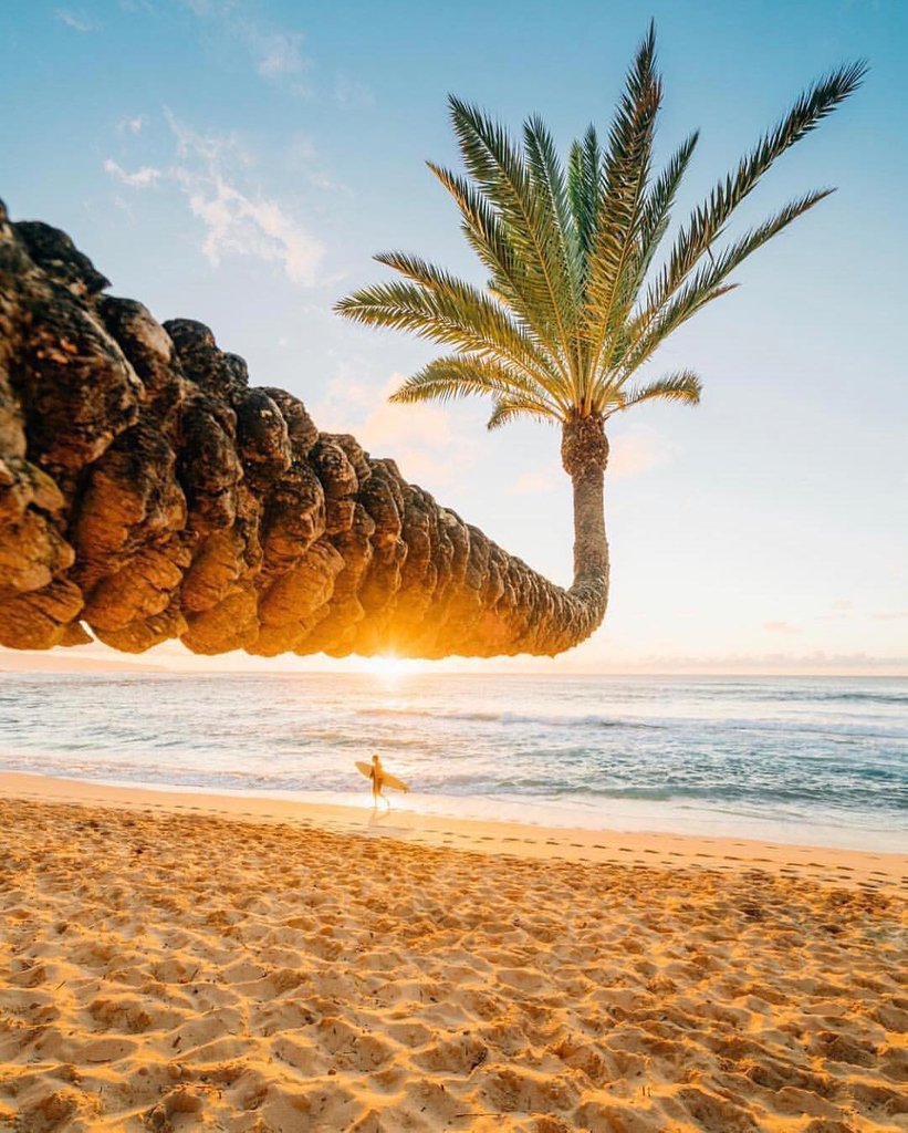 stayatEncanto's tweet photo. Nothing better than a gorgeous day at the beach. 👌🏻 🏝 

Booking: https://t.co/6C1cvhEUrR
📱(+52) 984 177 0208 (ENG)
💻info@bestrivieramayarentals.com
.
.
.
(📷@thebeachwhiskey) https://t.co/ibr0UfnR6u