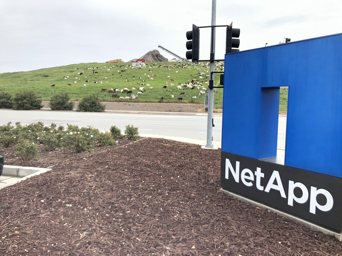 JasmineMelody7's tweet image. Looks like our friends are back! @LifeAtNetApp #NetAppDVC