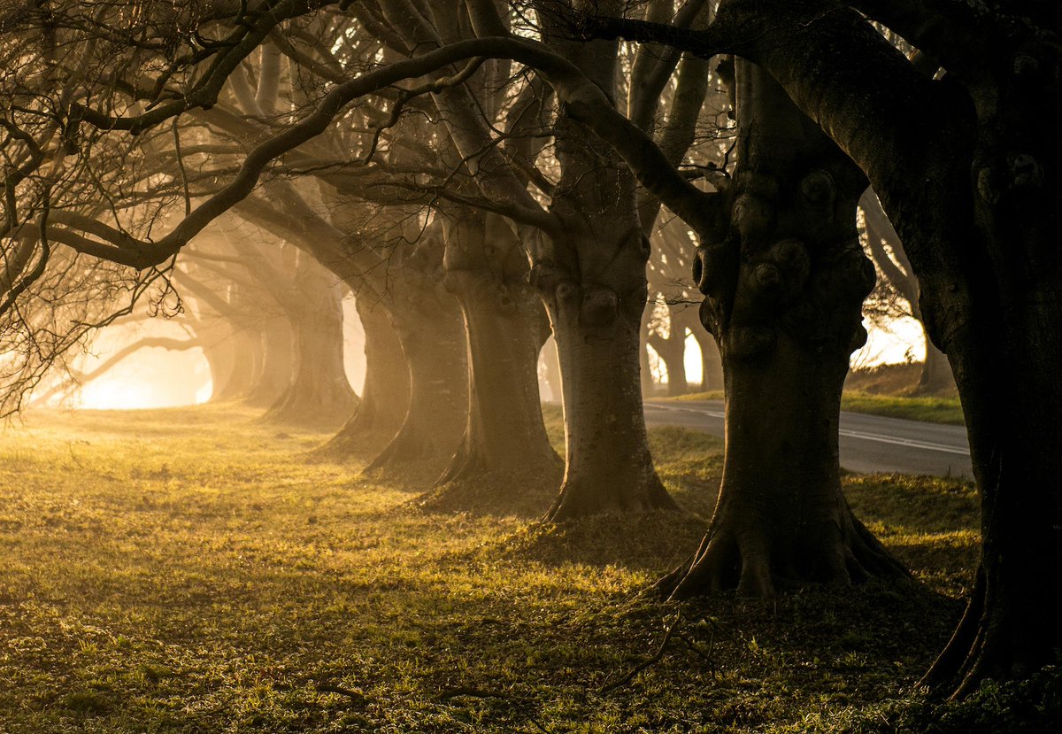The perfect destination for #photography fans, <a href="/NTKingstonLacy/">NTKingstonLacy</a> is ready and waiting to be explored during your stay on the south coast 😍 #Dorset