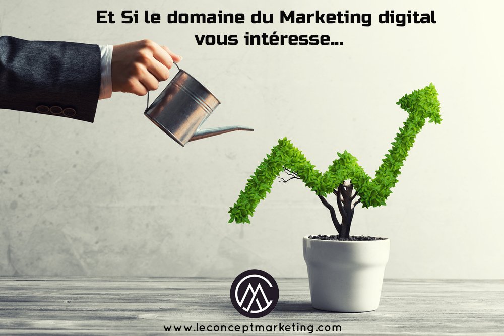 #entrepreneurfrancais#businessmarketing#marketingdigital
✅ Et Si le domaine du Marketing digital vous intéresse...

✅En Savoir Plus : leconceptmarketing.com