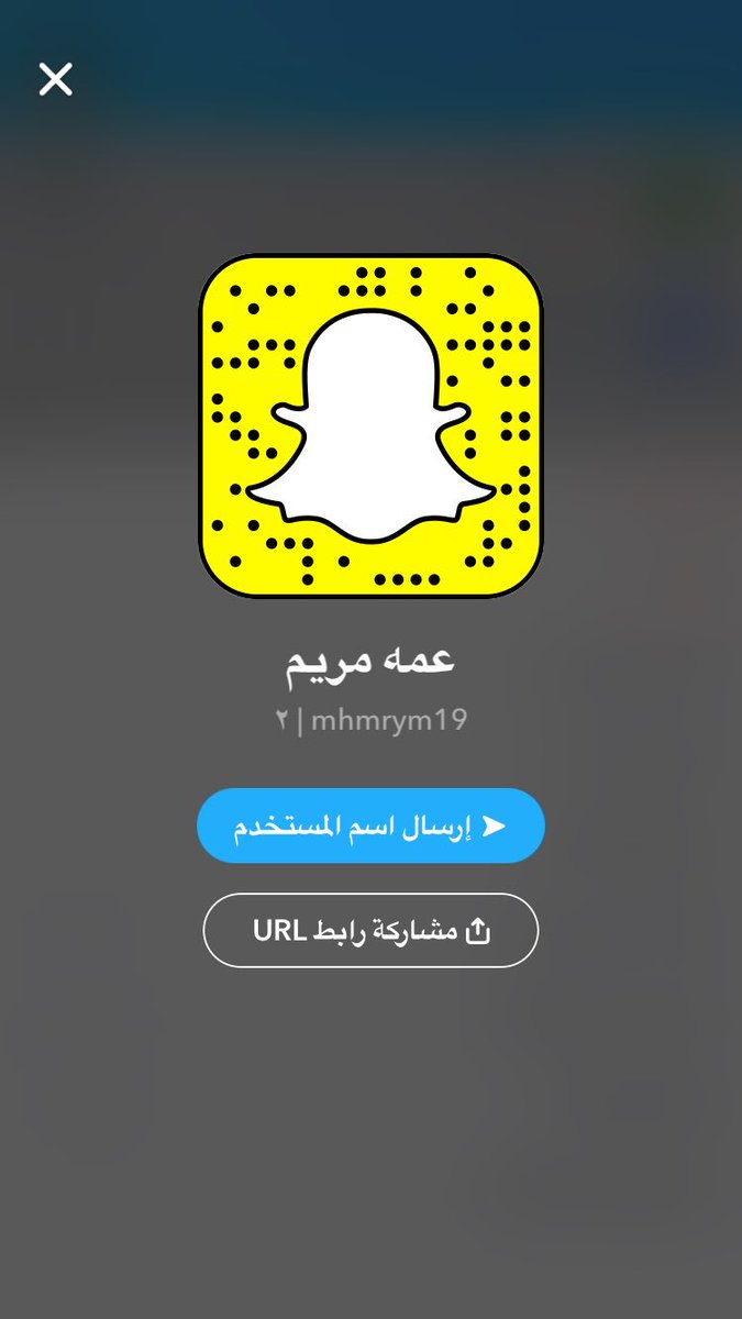 ديوث بدويه @bjk8iqau0tq6wrf - Twitter Profile | Sotwe