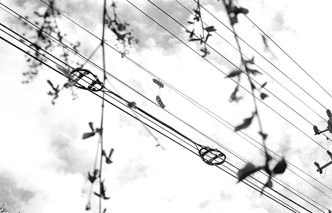First Exposures tweet media