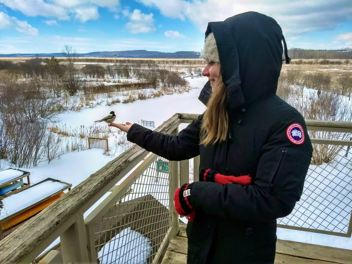 Spring is taking it’s time this year. But if it doesn’t bother the chickadees, it doesn’t bother me. #spring