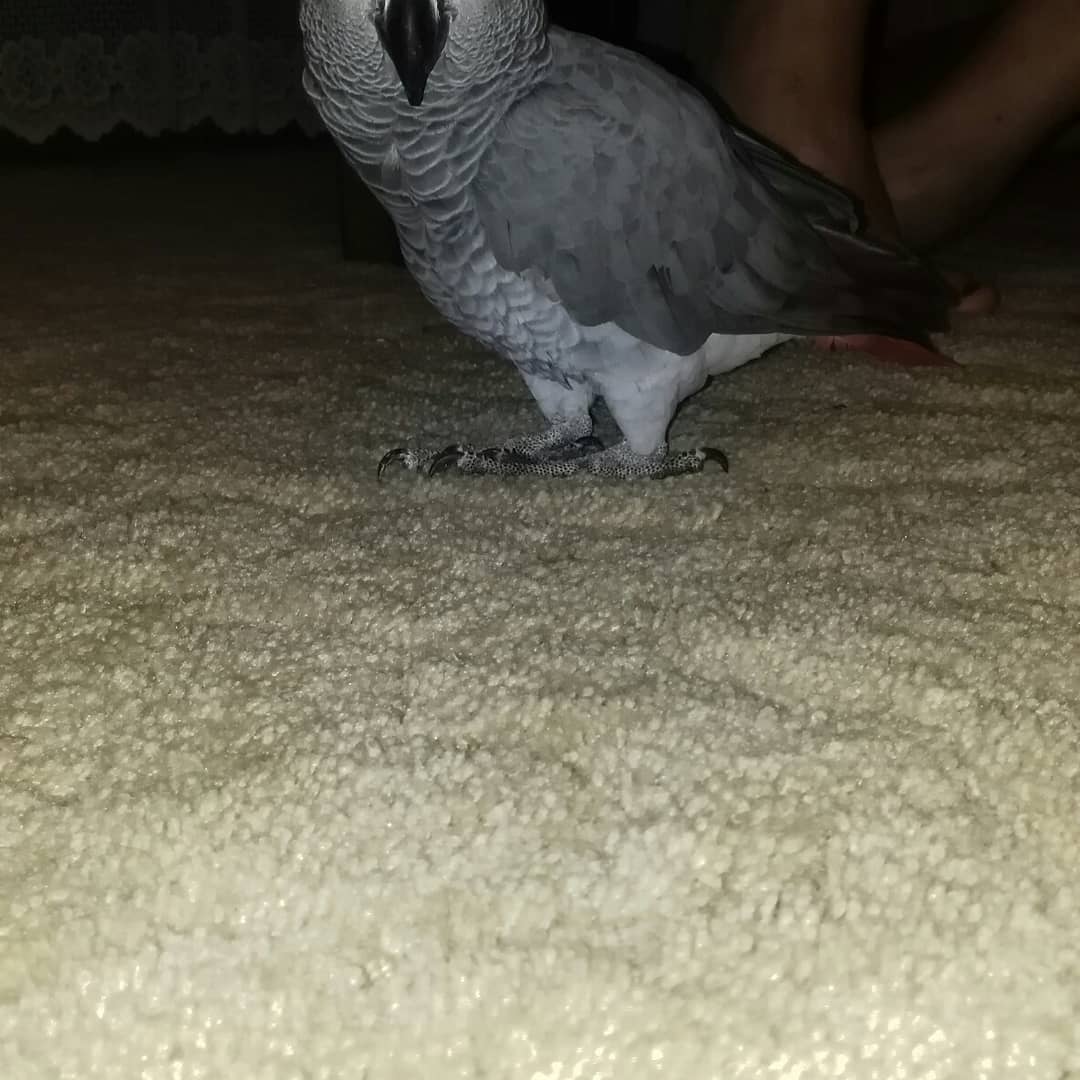 cnelson1884's tweet image. 