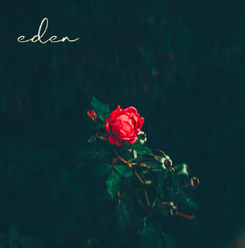 TurkPR's tweet photo. @officialsmall #eden #newsong #singer #songwriter #turkpr #turkprclient #talentedsinger #lizzysmall https://t.co/LgRlXbmgGK https://t.co/lIGX9mmgcZ