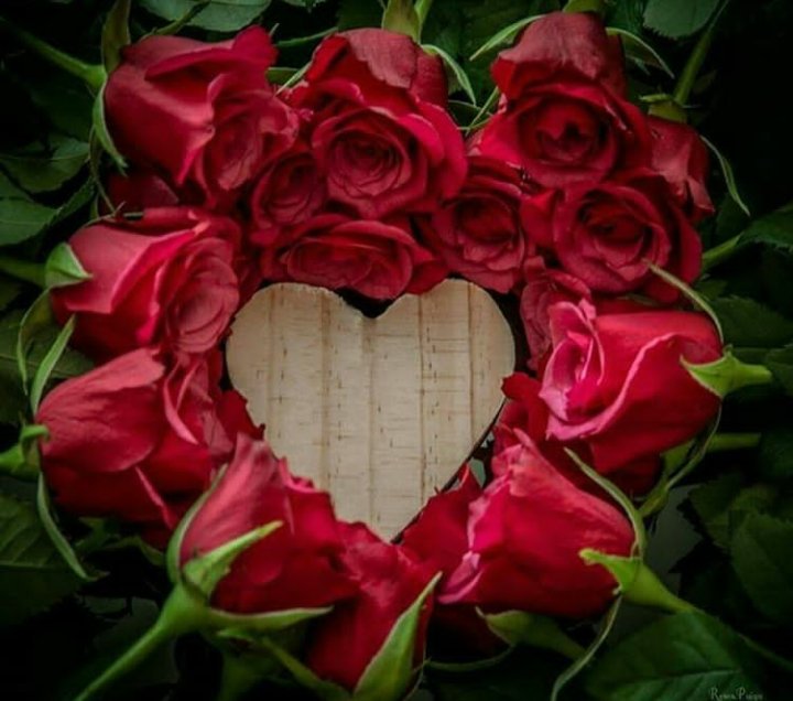 ginestarros's tweet photo. @Ruby2211250220 @CNationalists @darre5 @LeillaLuna @VicN_84 @V2_N_St0 @Fujio0606 @karlos_240 @Diane91182 @DabbeyEffect @BrettCateley @_Carol2018 @Luca25__ @GrandeFollwhelp 💙Retweet
💙Follow all LIKES & RTS
💙Follow🔙everyone
💙Reply "ifb"
Follow👉 @Ruby2211250220
@CNationalists @darre5
@LeillaLuna @VicN_84 @V2_N_St0 @Fujio0606 @karlos_240 @Diane91182 @DabbeyEffect @BrettCateley @_Carol2018 @Luca25__ @GrandeFollwhelp
#TM_RUBY💋
#weekendfollotrain https://t.co/pV8cqjENbt