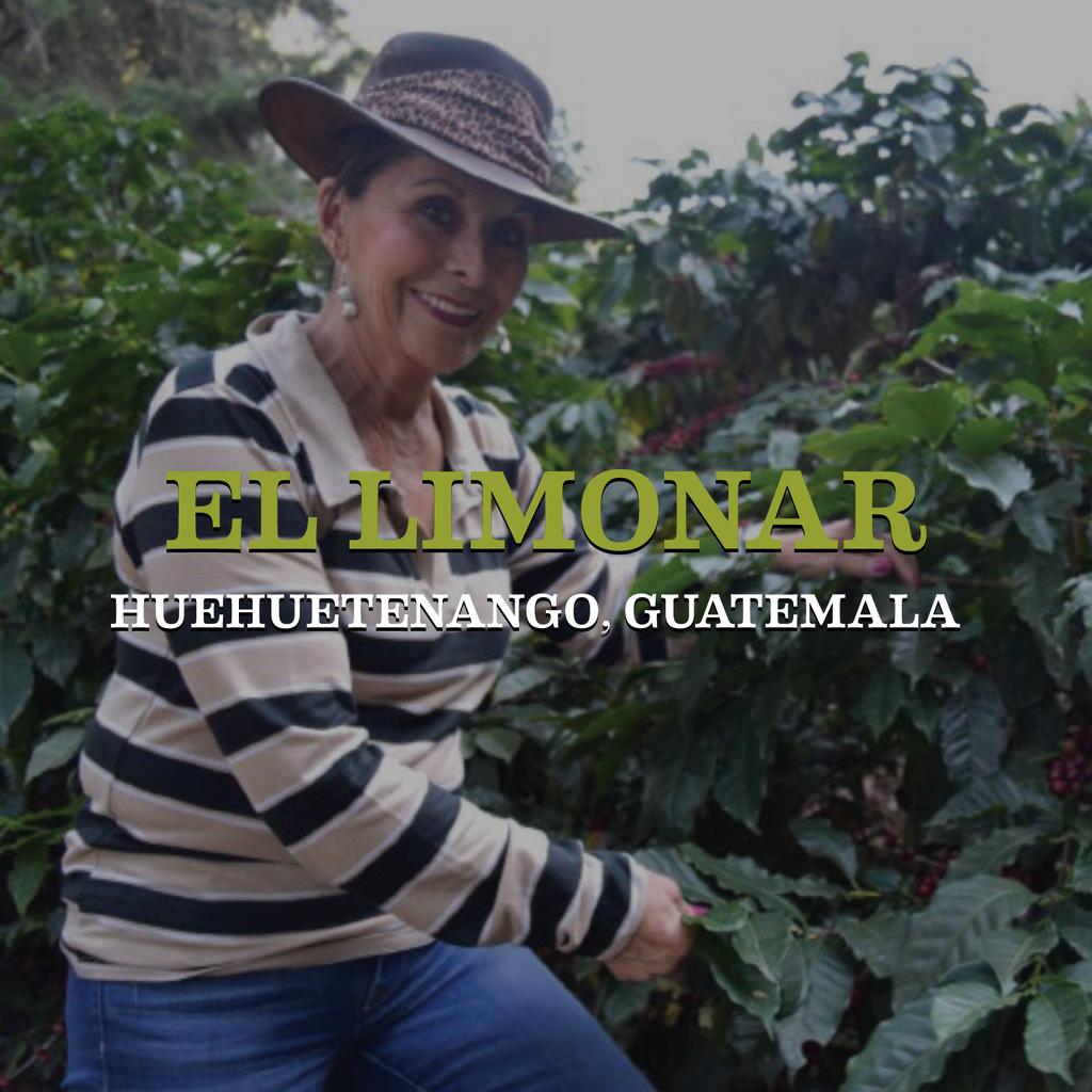 Our newest single origin coffee, El Limonar returns for 2019! Tasting better than ever and available online and in store now!