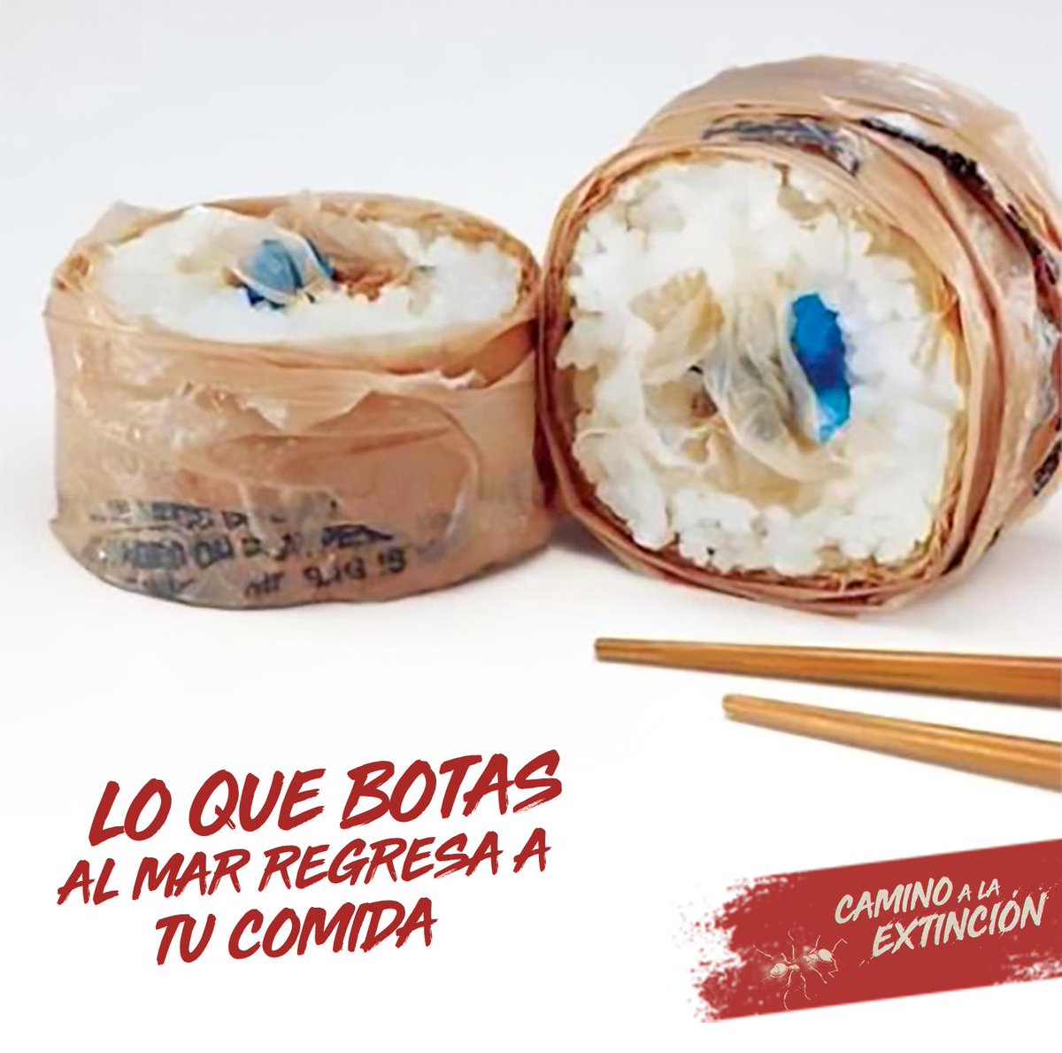 road2extinction's tweet photo. ¿Lo sabías? Súmate a la iniciativa de recoger aunque sea una pieza de plástico cada vez que visites la playa y estarás ayudando enormemente al medio ambiente. ¿Quieres apoyar de otra forma? Ingresa al link:
https://t.co/vnzlxu0YzG
@chuffed @ExtinctionR #plasticpollution #plastic https://t.co/g3dvFCFvOP