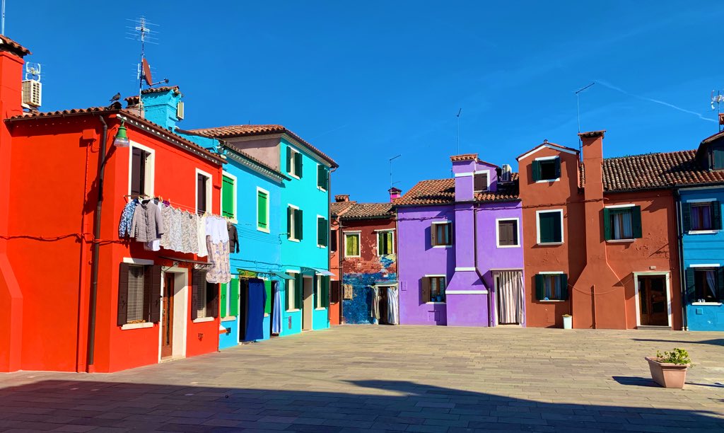 LeilaFuerst's tweet photo. B(ryan)(ran)o
@brazoovius
#SCFSVenice2019 https://t.co/SwLjWbIbGG