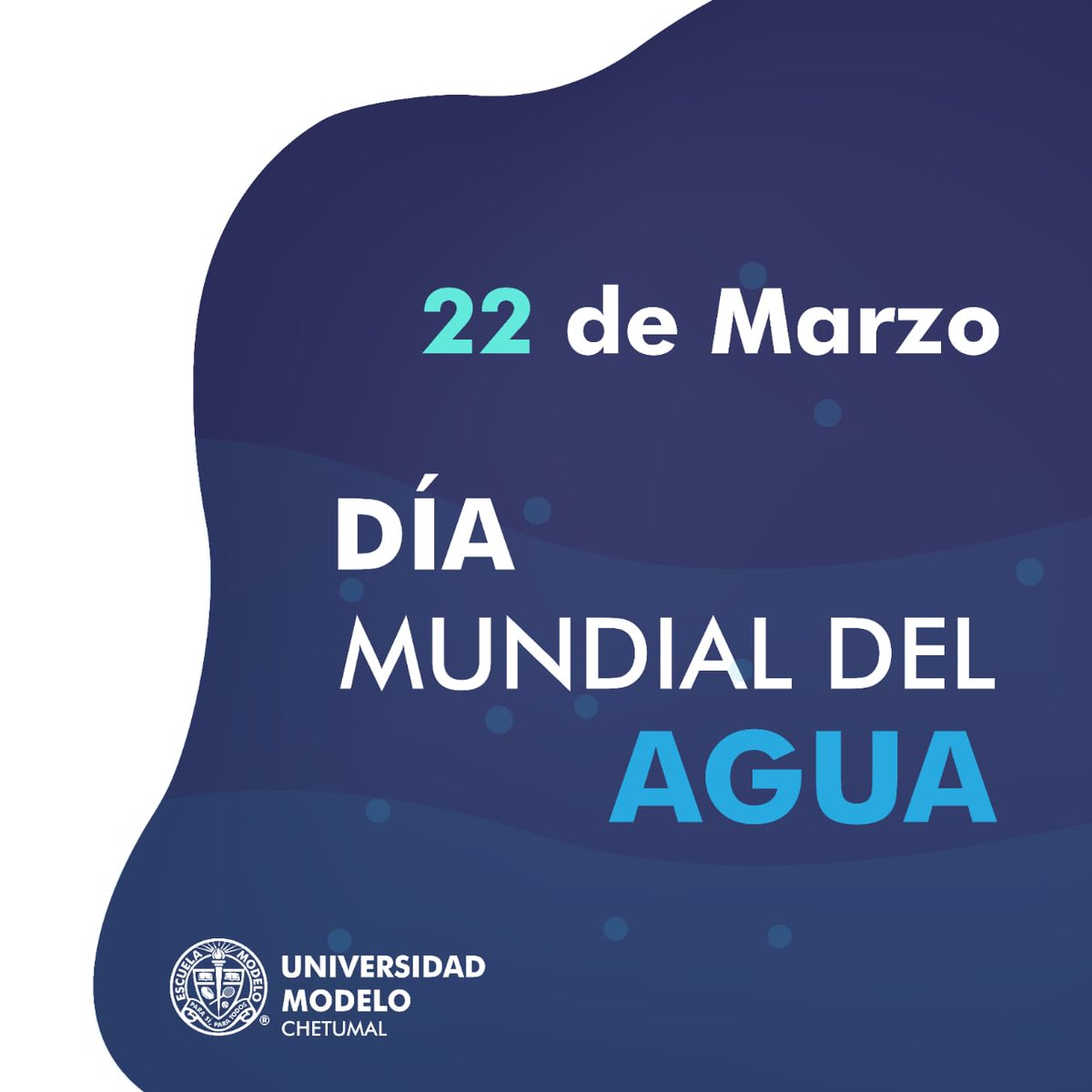unimodelo_ch's tweet photo. El 70 por ciento de nuestro planeta es #agua y también el 70 por ciento de nuestro cuerpo. Es el elemento más importante para la vida y el más vulnerable. Tú, ¿qué haces para cuidarla? #DiaMundialdelAgua 💧☔️🌊💦🌦️🥤🚿
#SéModelo #UniModelo #PrepaModelo #Chetumal https://t.co/nrdbkqlp14