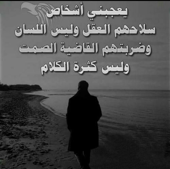 MASlp1's tweet image. 