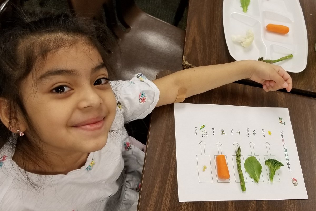 Educator_ASoto's tweet photo. Learning about seeds then planting, digging fossils, plants are food, &amp; succes when he found the fossil! @GaHighlands @ChargerInCharge @SharryseH 
THANK YOU! @ParkStEle @PSE_Principal #ProudAP ... See you in May! https://t.co/70s6lzCqj7