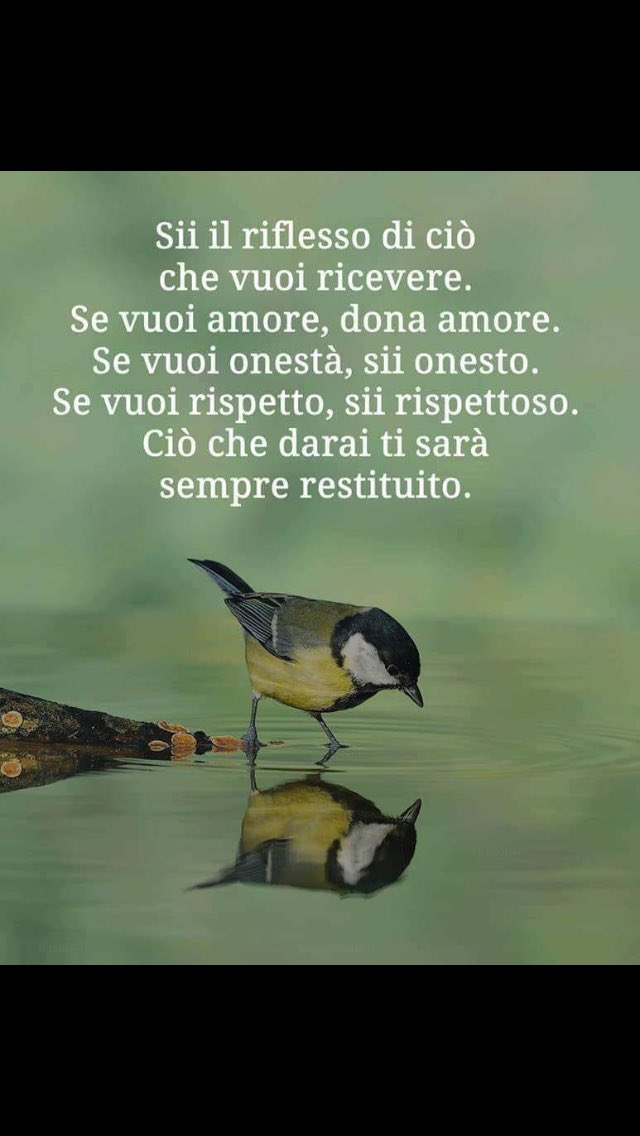 AssuntaAnna's tweet image. 