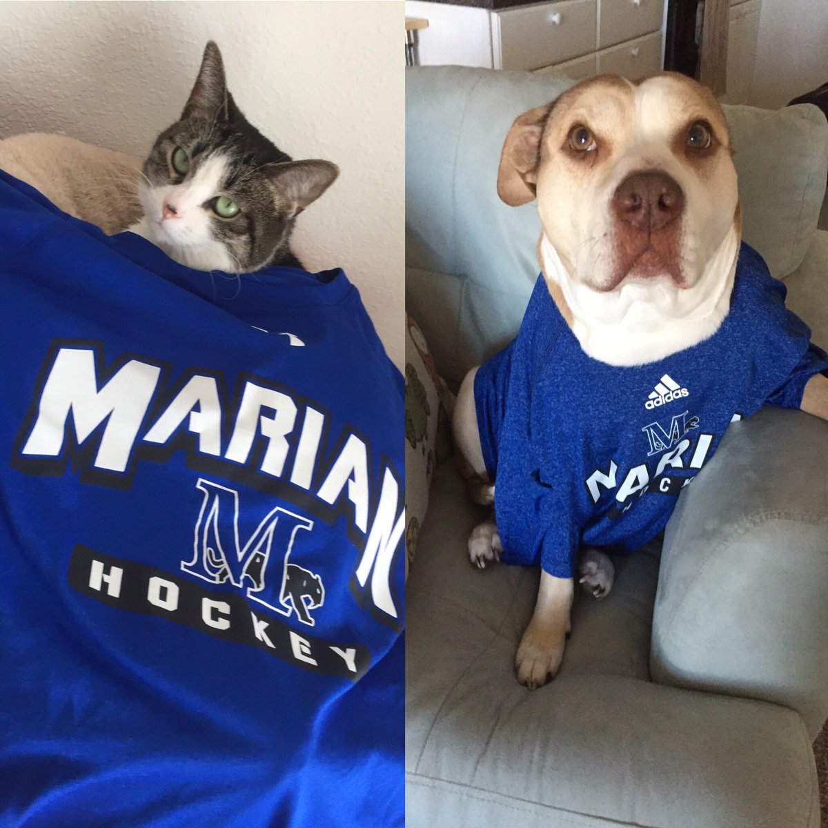 Jkivi11's tweet photo. The girls and I are ready to cheer on the @marianmensacha and @CFrederickson30 as they kick off the National Tournament down in Texas! #MillieTheModel #DaijaDoo #GoDadGo! https://t.co/wCtB63OSV2