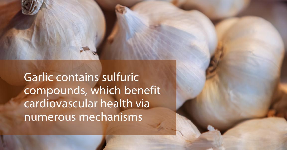 TAPIntegrative's tweet image. RT @MichellePandey: #Garlic contains sulfuric compounds which benefit cardiovascular health tapintegrative.org/Blog/March-201… #foamed #hearthealth