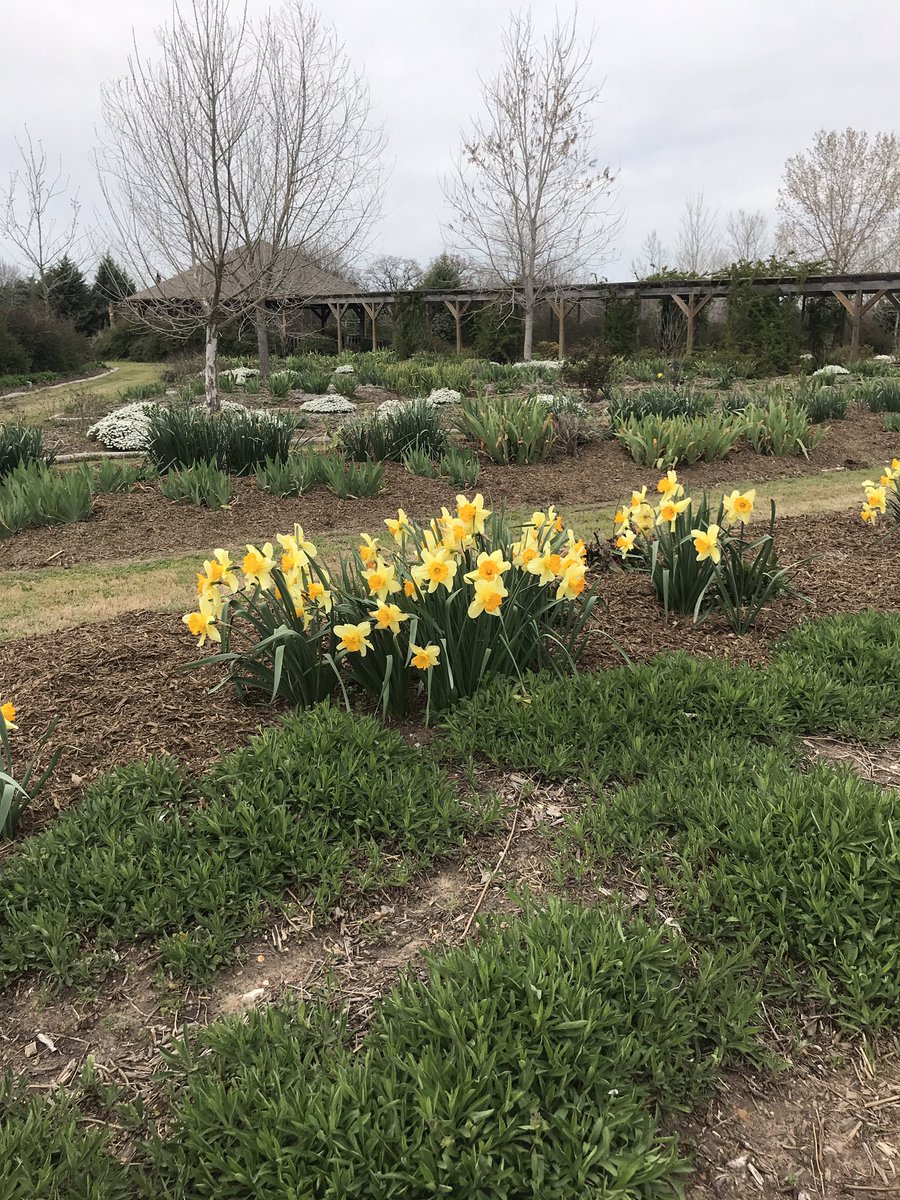 Clark Gardens tweet media