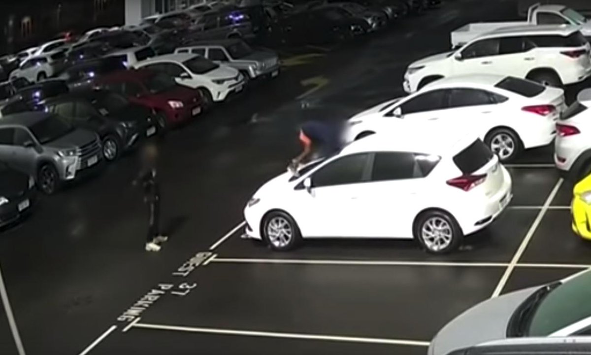 MercadoMotor's tweet photo. Te dolerá ver como estos críos destrozan hasta 37 coches (en vídeo)
https://t.co/IU8D2gdX9u https://t.co/dd44L3D6vD