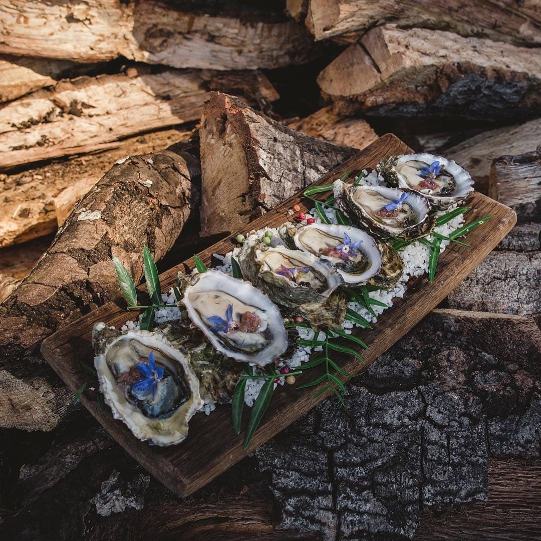 BajaScape's tweet photo. Are you a fan of clams, oysters and sea urchin? If the answer is yes, Valle de guadalupe is waiting for you this weekend https://t.co/czd8UQSns8