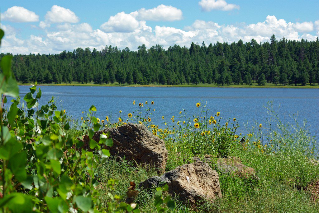 forestservice's tweet photo. Major U.S. cities, like Los Angeles, Portland, Denver, and Atlanta may seem distant from forests, but they all receive a significant portion of their water supply from national forests. #WorldWaterDay #ForestH2O https://t.co/Zjrg1AdcLx