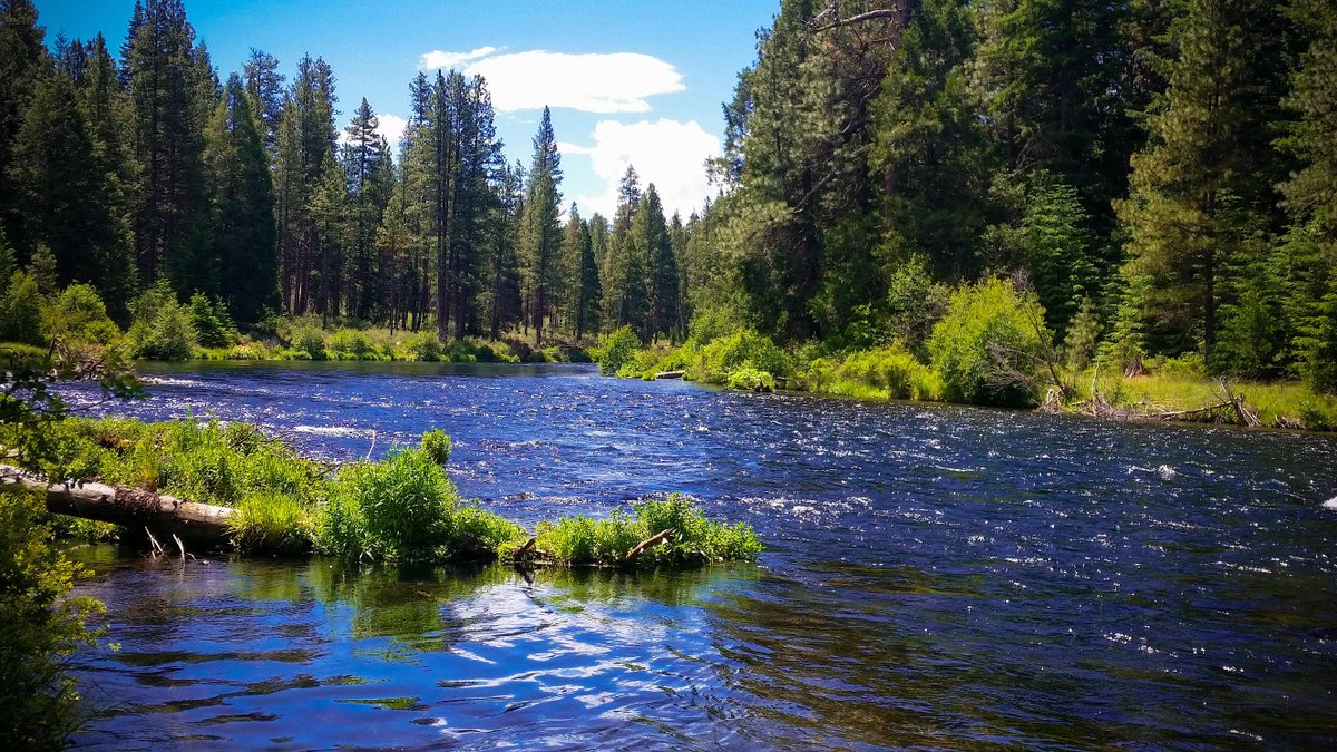 forestservice's tweet photo. Major U.S. cities, like Los Angeles, Portland, Denver, and Atlanta may seem distant from forests, but they all receive a significant portion of their water supply from national forests. #WorldWaterDay #ForestH2O https://t.co/Zjrg1AdcLx