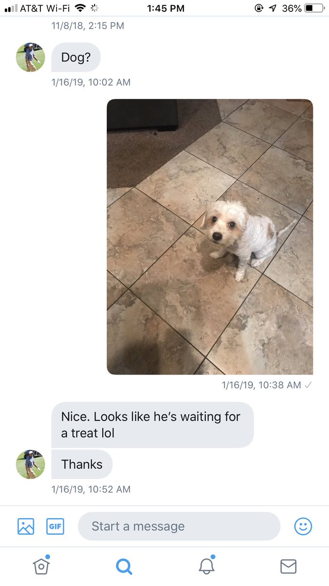 for 3 years straight this guy has been dming me asking for pics of dogs and nothing else. sometimes the internet is actually good