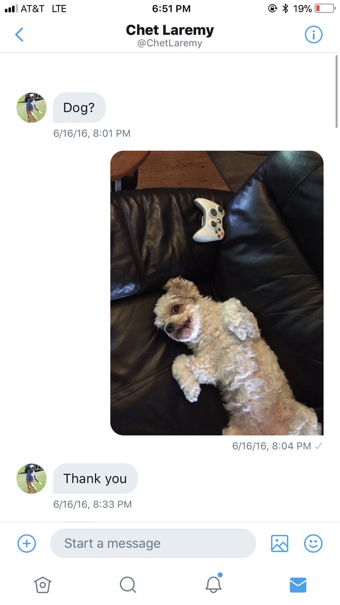 dubstep4dads's tweet photo. for 3 years straight this guy has been dming me asking for pics of dogs and nothing else. sometimes the internet is actually good https://t.co/ICiIgq3AQ8