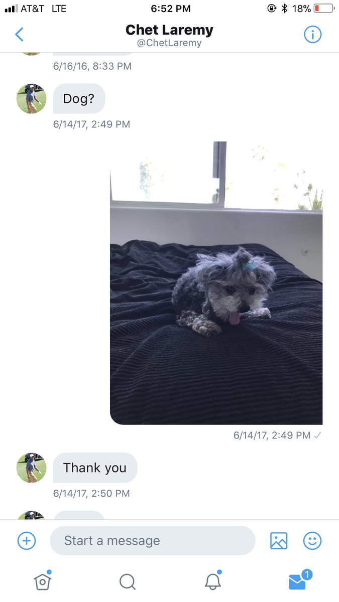 dubstep4dads's tweet photo. for 3 years straight this guy has been dming me asking for pics of dogs and nothing else. sometimes the internet is actually good https://t.co/ICiIgq3AQ8