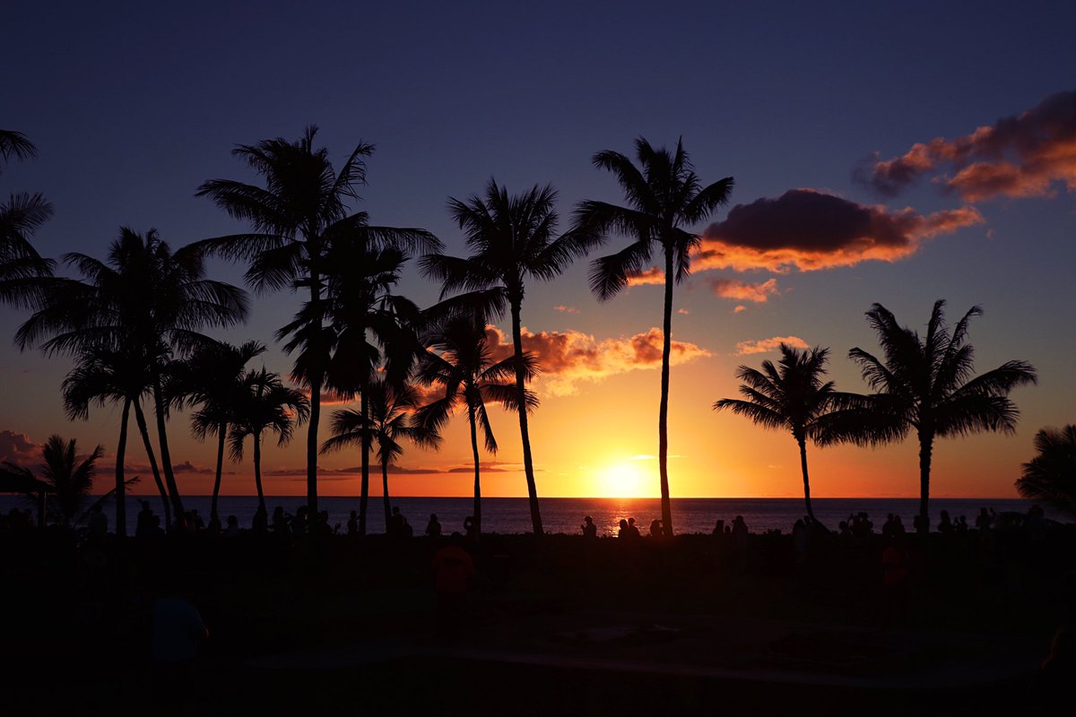 jgrogss's tweet photo. Beautiful sunsets in Hawaii🌅🌴
.
.
.
.
#hawaii #hawaiilife #oahu #sunsets #sunsetlovers #sun #beautifulskyline #landscapesunsets #landscapephotography #palmtrees #paradise #paradisecove #hawaiisunsets https://t.co/hxuZN8BgEC