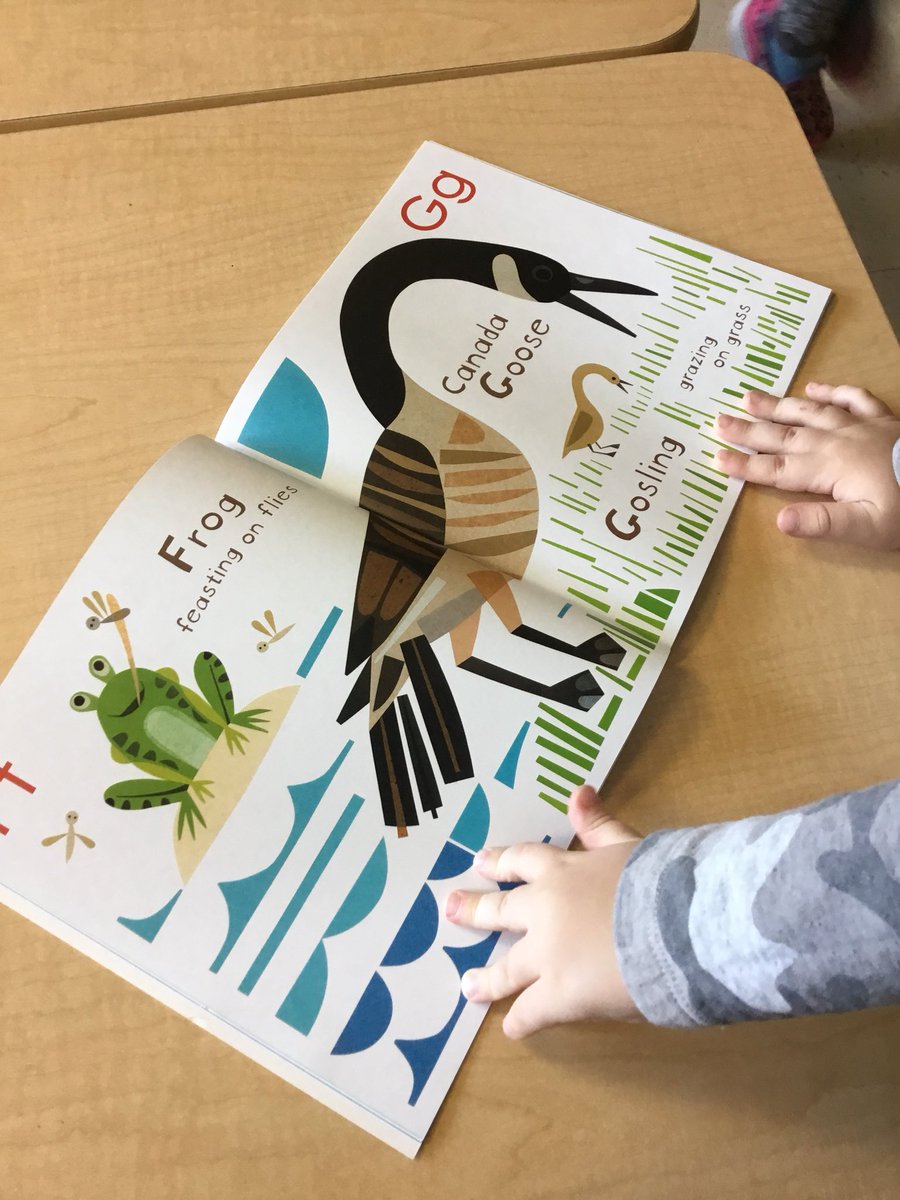 MrsSoperYR's tweet photo. @BogartPS FDK Ss are curious about Canadian geese ! Learning alongside your students is the best ❤️😀 https://t.co/VBCFG016AV
